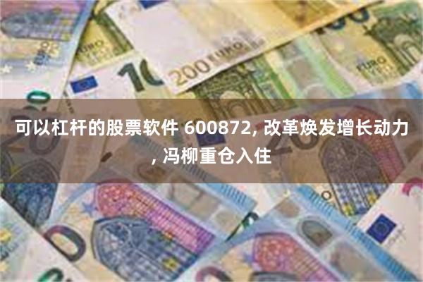 可以杠杆的股票软件 600872, 改革焕发增长动力, 冯柳重仓入住