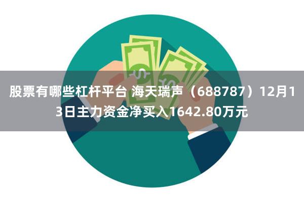 股票有哪些杠杆平台 海天瑞声（688787）12月13日主力资金净买入1642.80万元