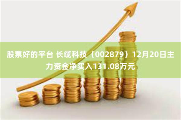 股票好的平台 长缆科技（002879）12月20日主力资金净买入131.08万元