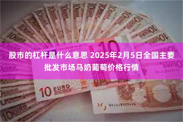 股市的杠杆是什么意思 2025年2月5日全国主要批发市场马奶葡萄价格行情